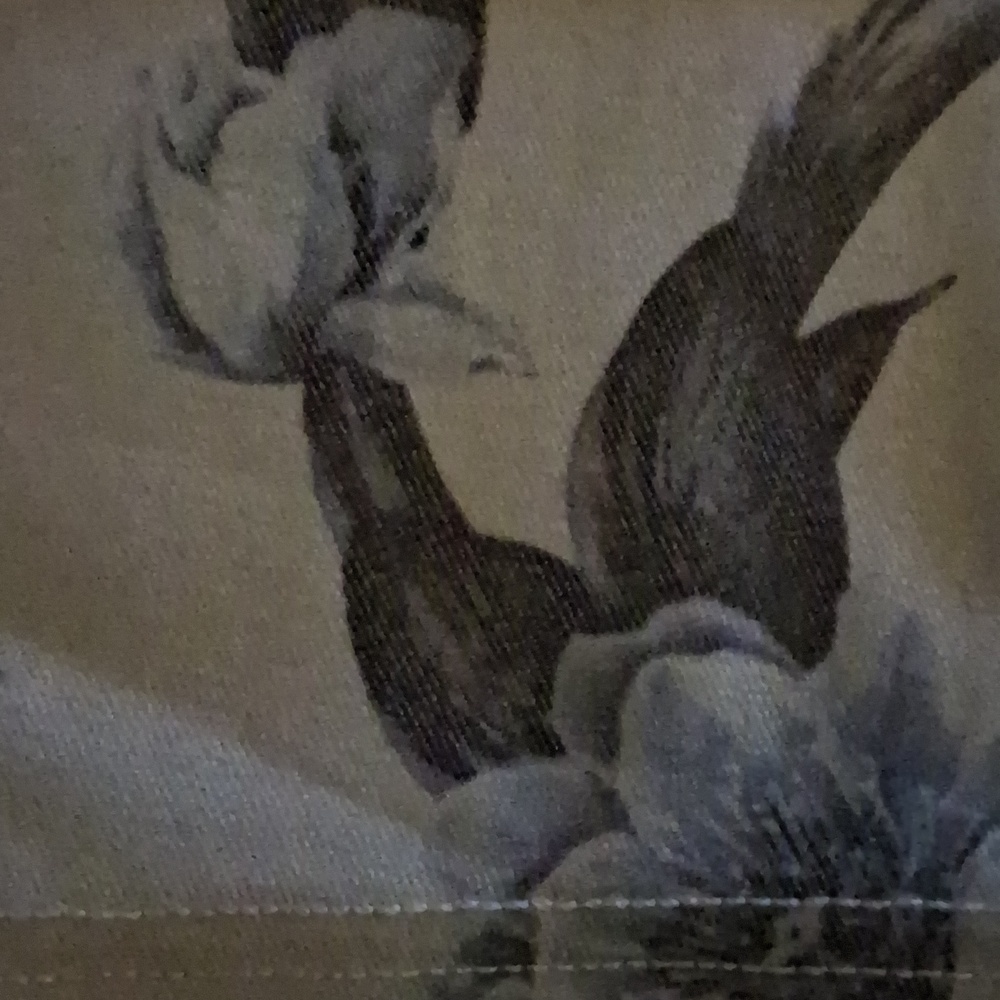 HUE Capri - Picture 6 of 8